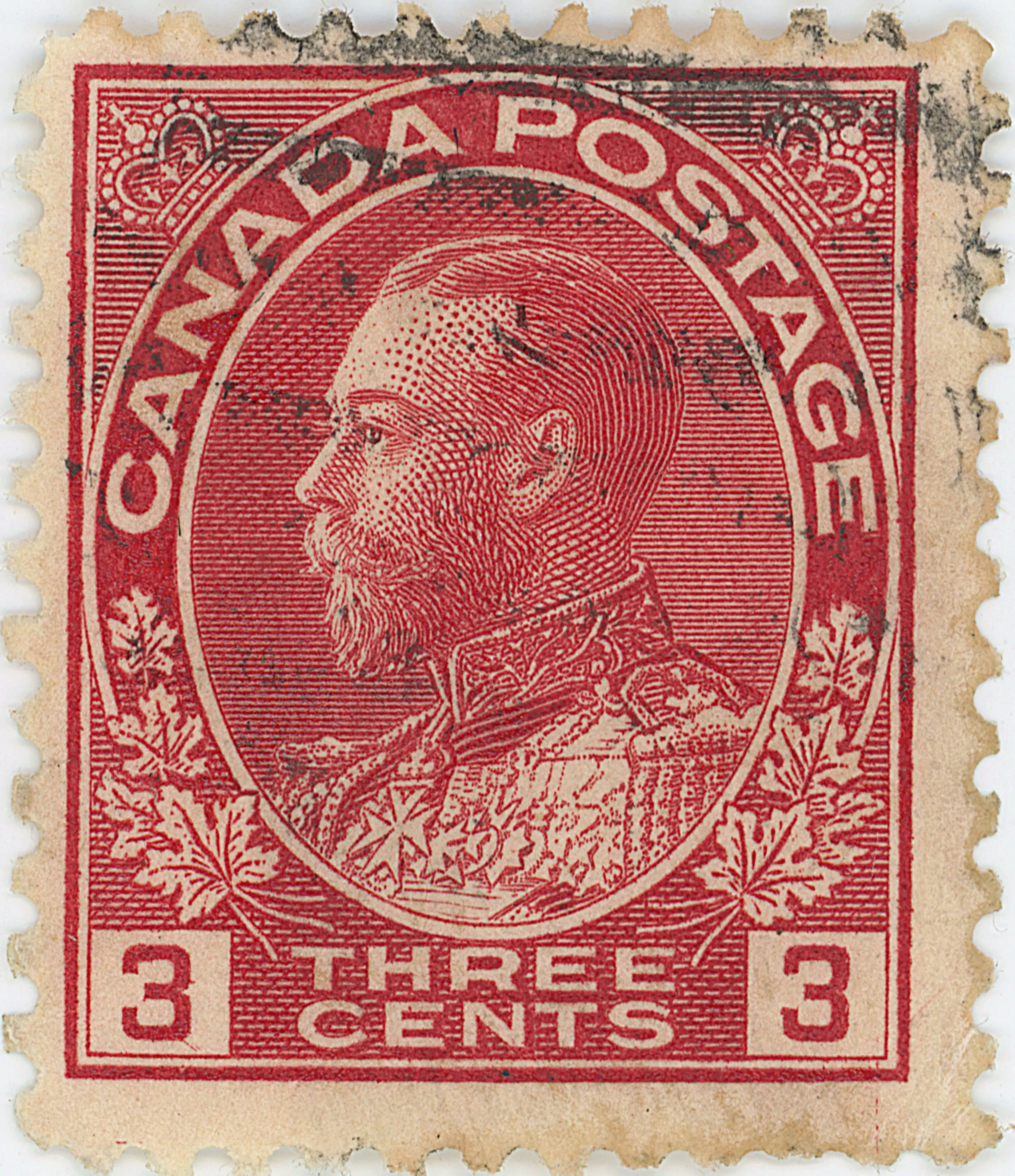 3¢C TLD 45L g.webp